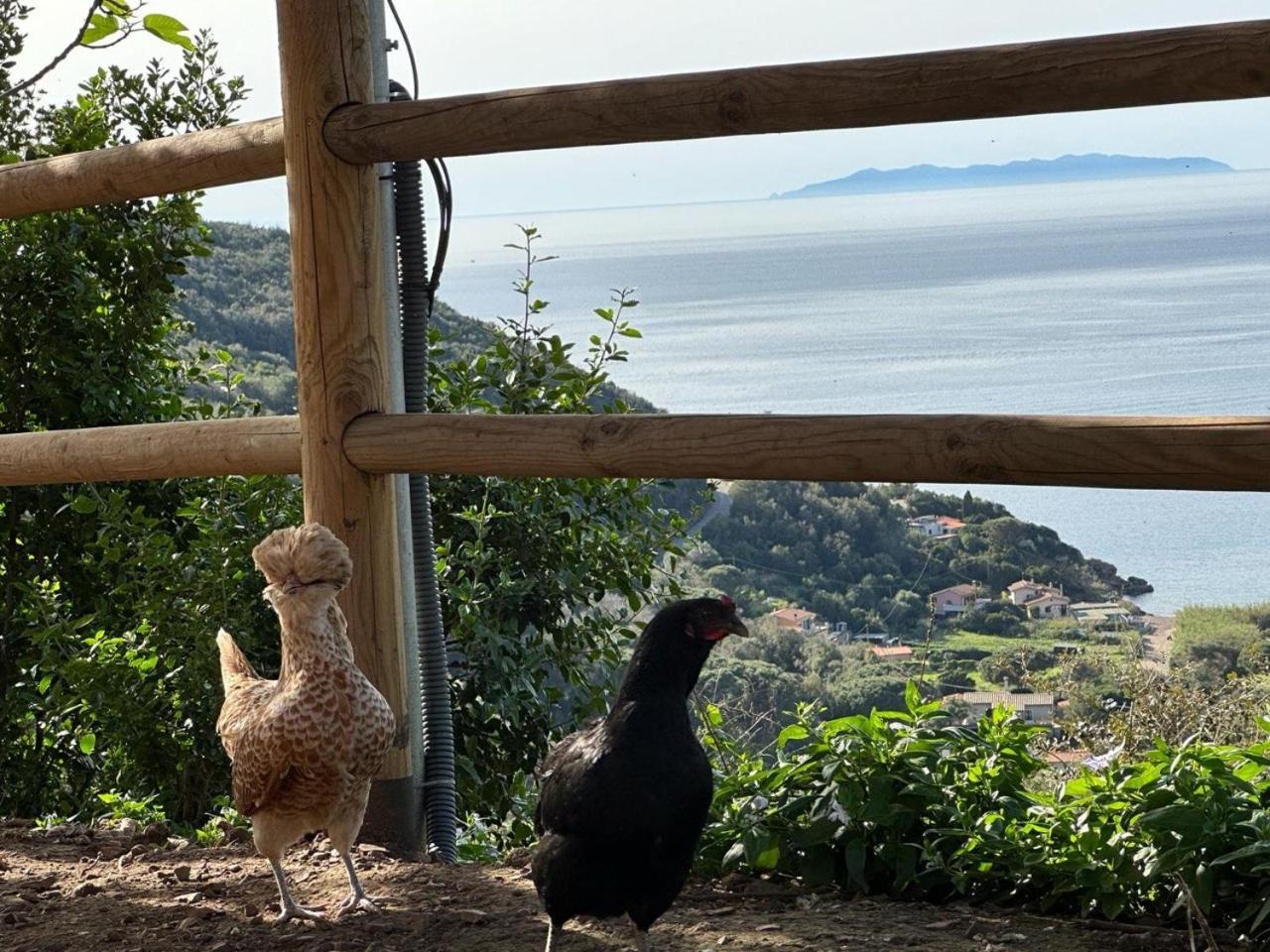 Agriturismo Paradisa Rio dellʼElba المظهر الخارجي الصورة