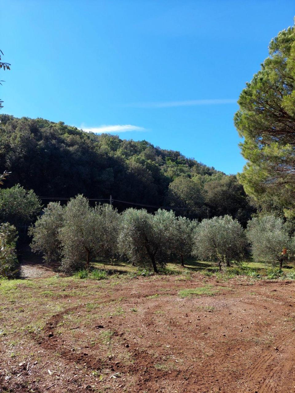 Agriturismo Paradisa Rio dellʼElba المظهر الخارجي الصورة