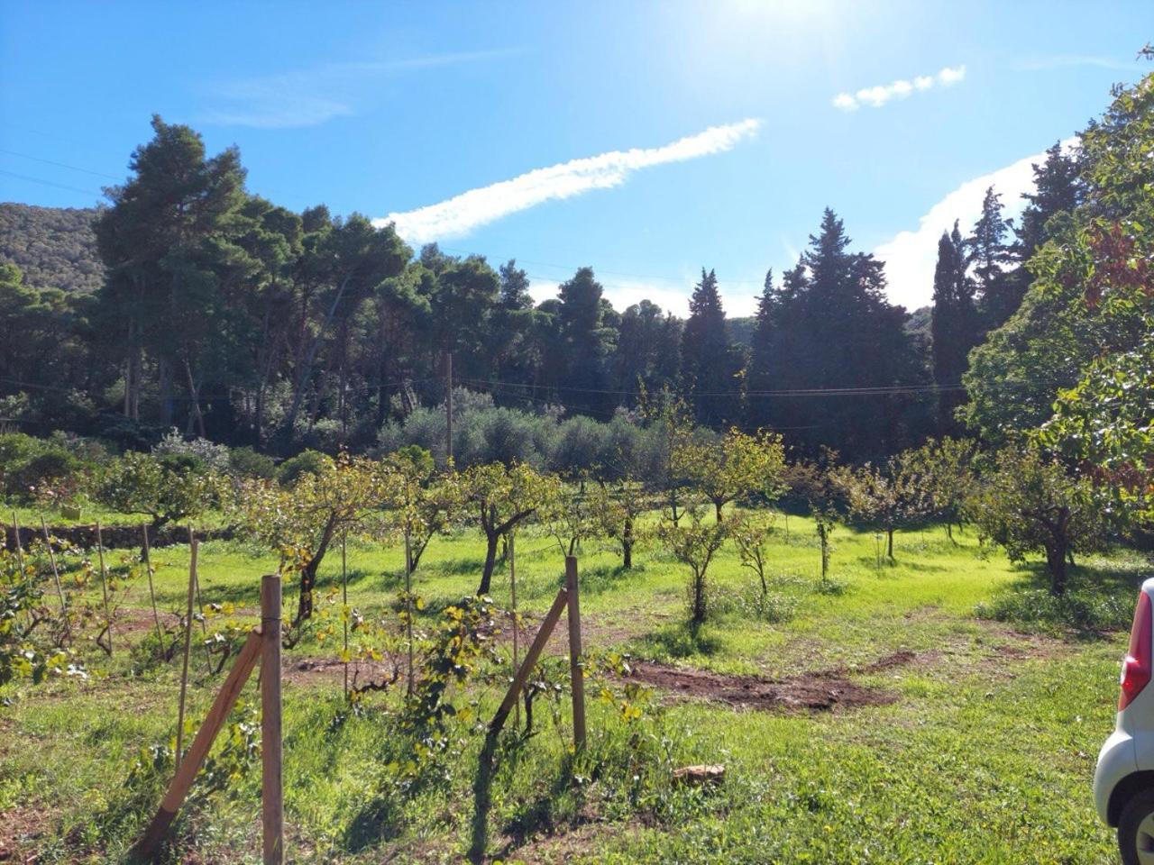 Agriturismo Paradisa Rio dellʼElba المظهر الخارجي الصورة