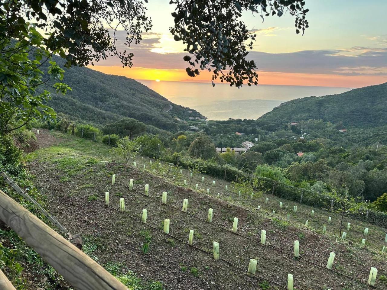 Agriturismo Paradisa Rio dellʼElba المظهر الخارجي الصورة